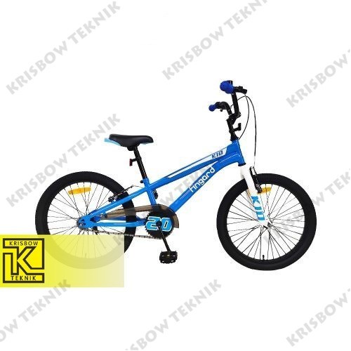 Fingard Sepeda Anak 20 Inci - Biru