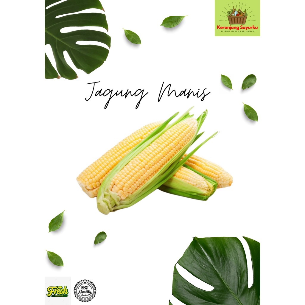 

Jagung Manis Segar 1 Buah by Keranjang Sayurku