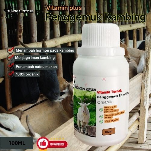 Vitamin Penggemuk Kambing,serta menambah nafsu makan / Obat Penggemuk Kambing Dan Nafsu Makan / Peng