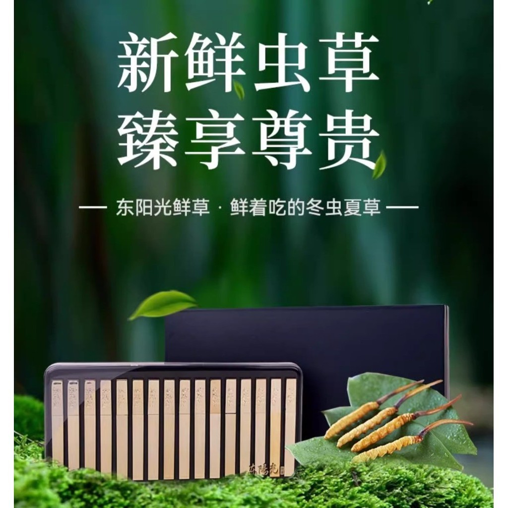 Cordysep Fresh Super premium 1.01-1.20g/batang 16btg/box