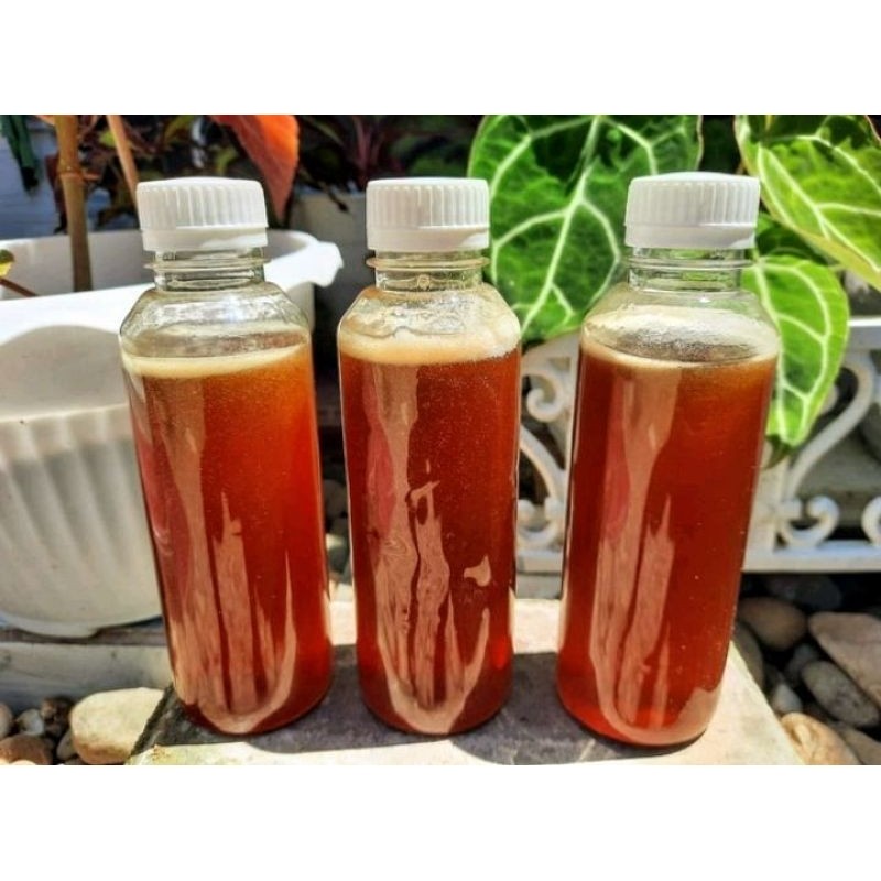 

madu ruqyah iyan guru rasa kanhasiat nya