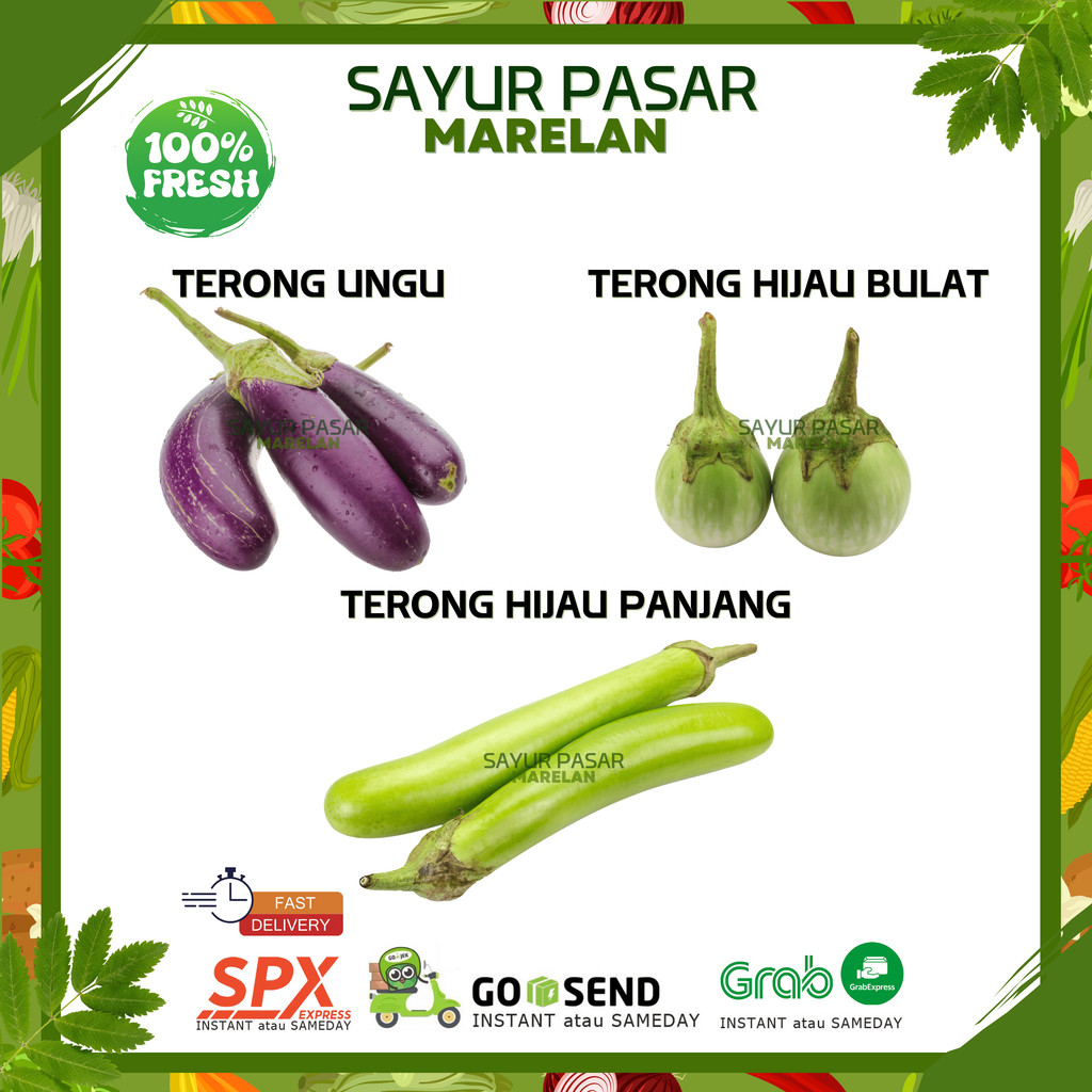 

TERONG UNGU / TERONG HIJAU BULAT / TERONG HIJAU JARI PANJANG