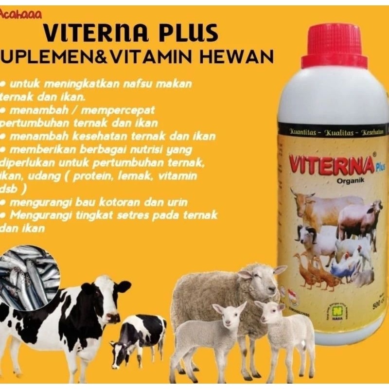 Produk Viterna Plus VITERNA Plus Vitamin Ternak Organik merupakan suplemen pakan ternak