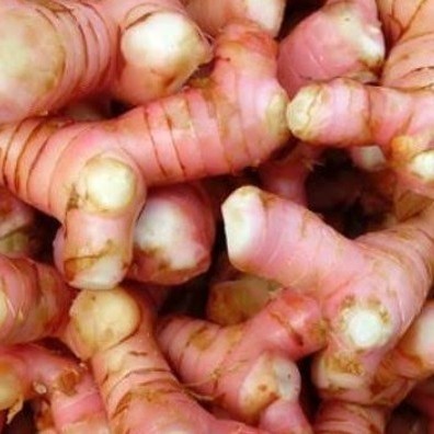 

LAOS - LENGKUS 250gr/ SAYUR SAYURAN CURAH