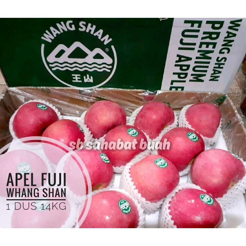 

UD BUAH 3 SMAUDARA BUAH APEL FUJI WANG SHAN 1 DUS