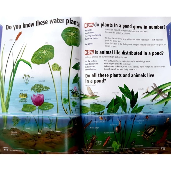 

Mini Science Encyclopedia 8th Edition