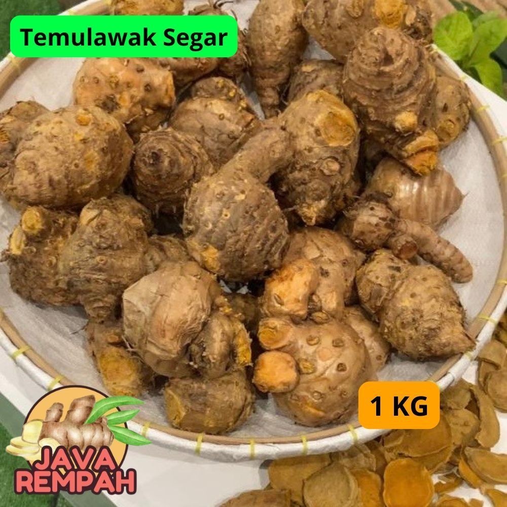 

Temulawak Segar 1kg . ,