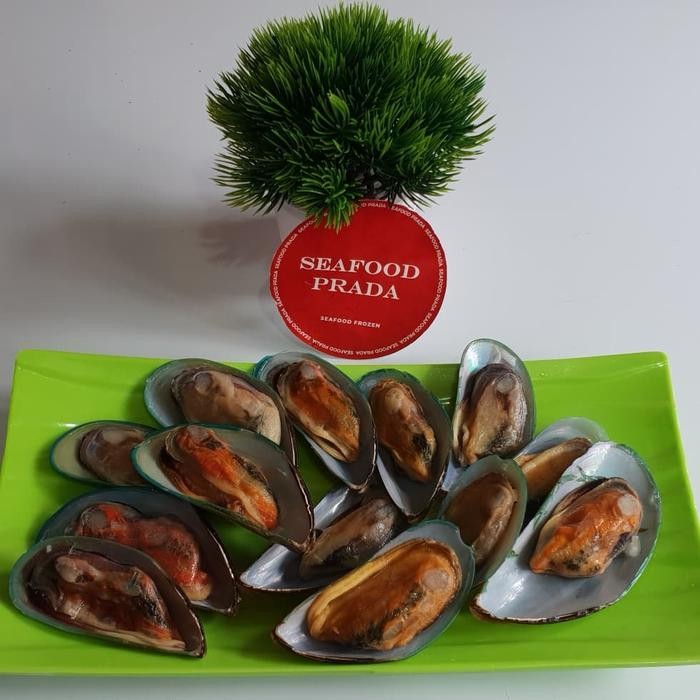 

Kerang hijau half shell