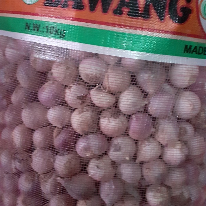 

Promo Bawang putih tunggal - bawang putih lanang ukuran jumbo 500 gram terlaris