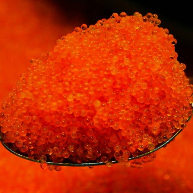 

Tobiko / Flying Fish Roe / Telur Ikan Terbang / Tobiko Orange 500 Gram