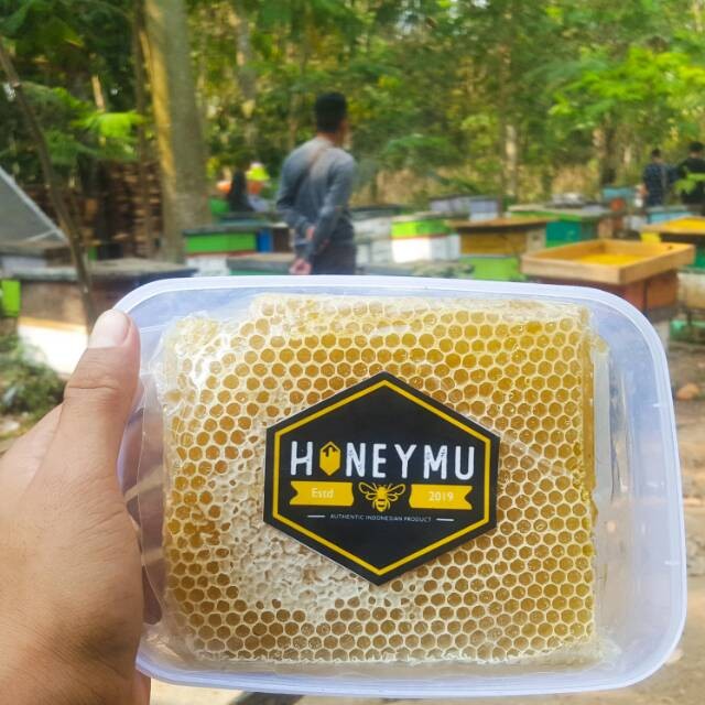 

[500gr] COD Sarang Madu Melifera