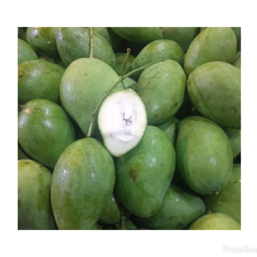 

Mangga Muda Manis 500gr