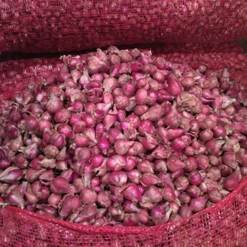 

Bawang Merah Kering 100gr | Sayur Segar Medan