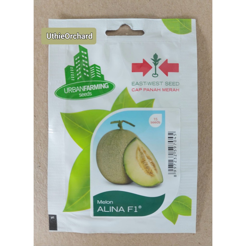 Benih Panah Merah - Melon Alina F1