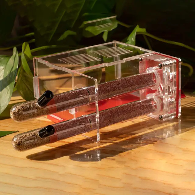 Formicarium and Test Tube Nest (2 Test Tube), Formicarium, Akrilik, Ants, Ant, Gypsum, Concerte.