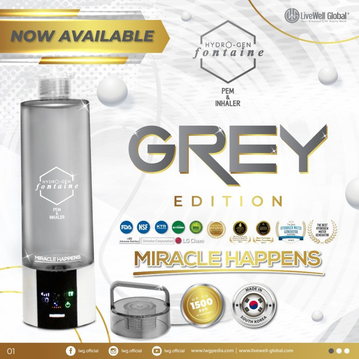 LWG Hydrogen fontaine