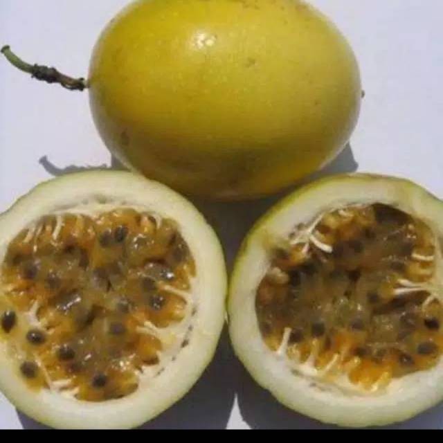 

Cod Buah markisa segar 500 gram '