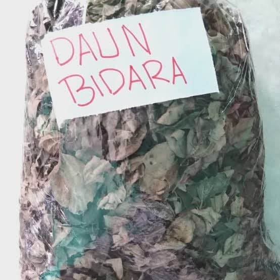 

Daun Bidara Kering (1kg) / Obat Herbal Wasir, Diabetes