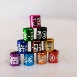 ring burung sogon pleci finch blacktroat konin emje laser gt sc rhn