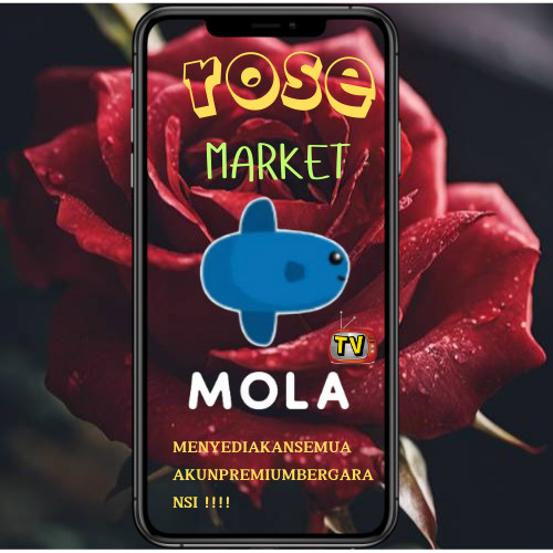 MOLA TV PREMIUM 1TAHUN FULL GARANSI