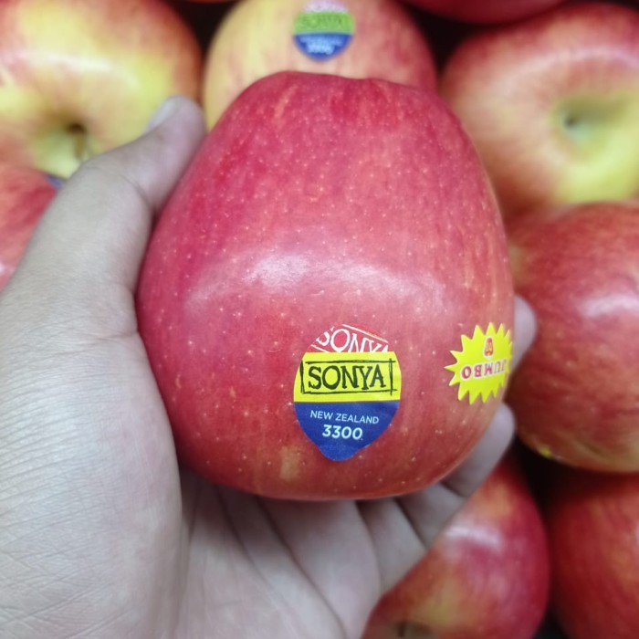 

buah apel ever sonya crispy new zealand jumbo 1 kg