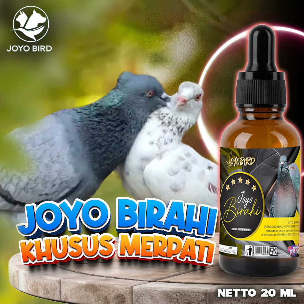 OBAT BURUNG PENDONGKRAK BIRAHI | OBAT BURUNG | VITAMIN BURUNG PENDONGKRAK BIRAHI TESTOTERON & ESTERO
