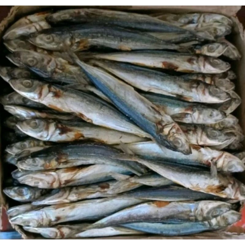 

ikan asin / ikan asin pedo 250gram