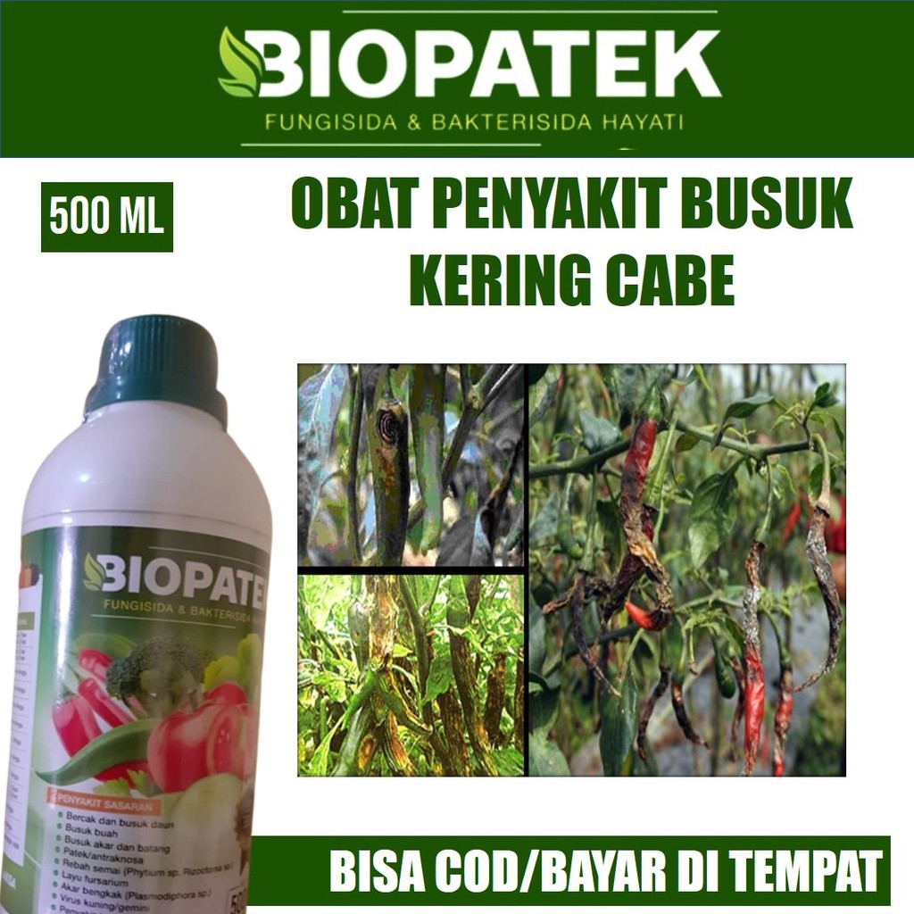 [REKOMENDED] BIOPATEK 500 ML OBAT BUSUK CABE, PUPUK SEMPROT BUSUK DAN PATEK CABE/CABAI MANJUR, OBAT 