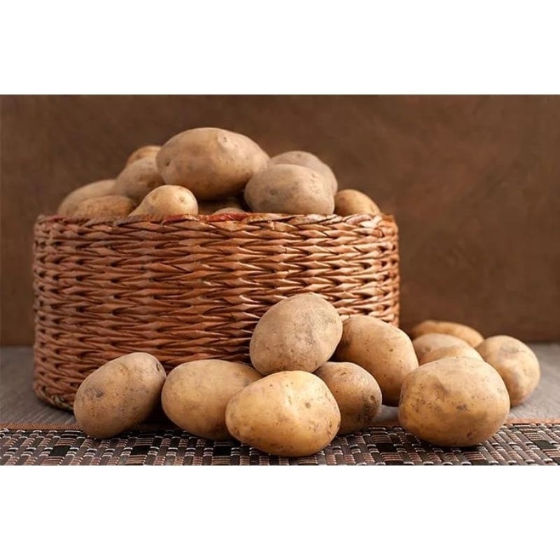 

Kentang dieng Ukuran Besar fresh 1kg Super [ PREMIUM ]