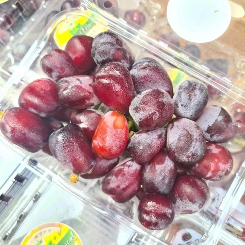 

Anggur Muscat Merah 500 Gram