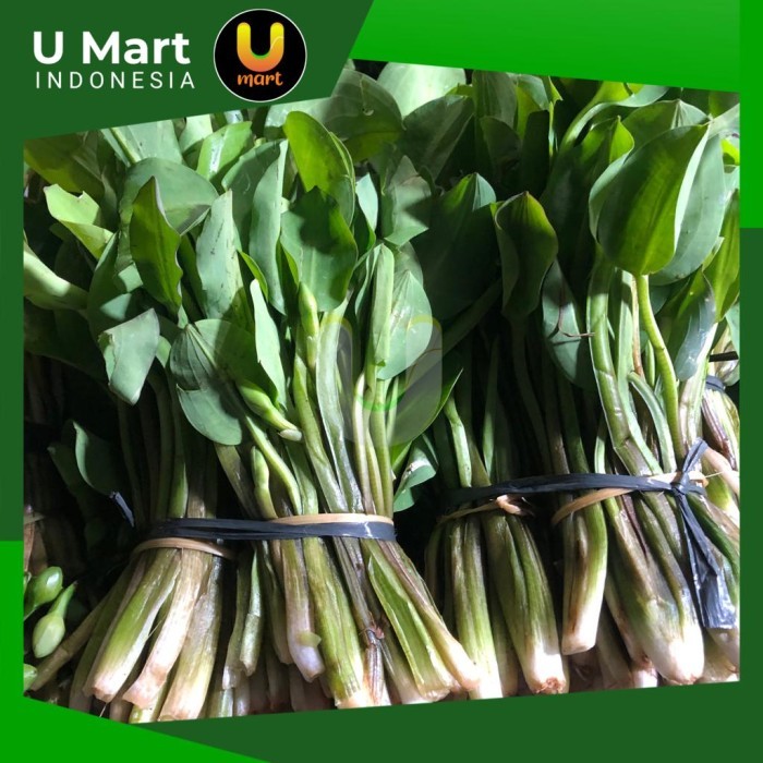 

U Mart - Daun Genjer Segar 1 ikat