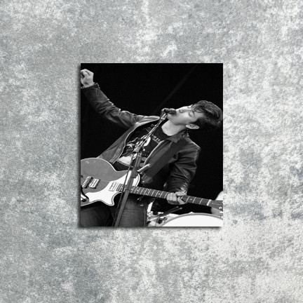 

DL25 Poster Art Musik Artic Monkeys Alex Turner