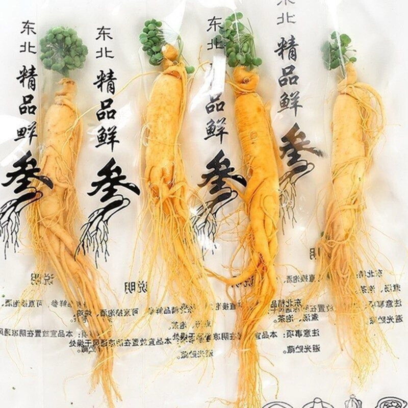 

Akar Ginseng Segar Asli Changbai 20gr / 100gr Vakum | Herbal Rendaman
