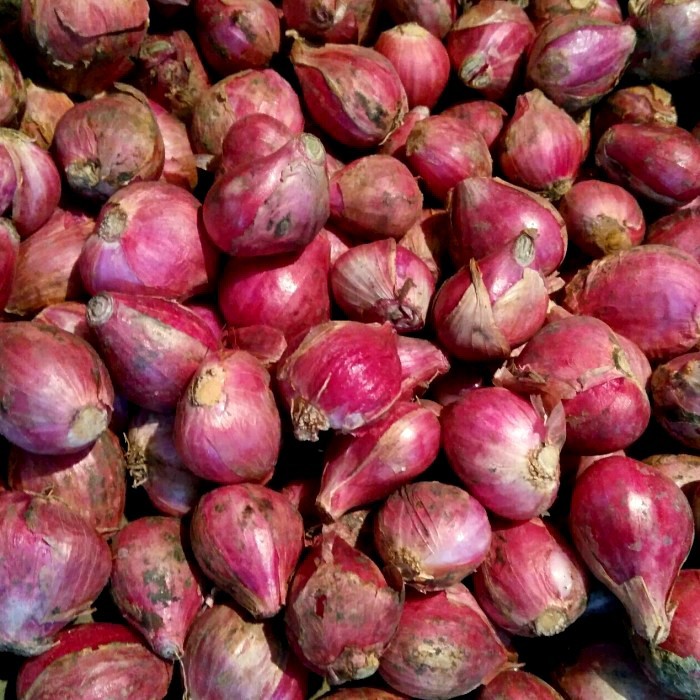 

bawang merah brebes super 1kg