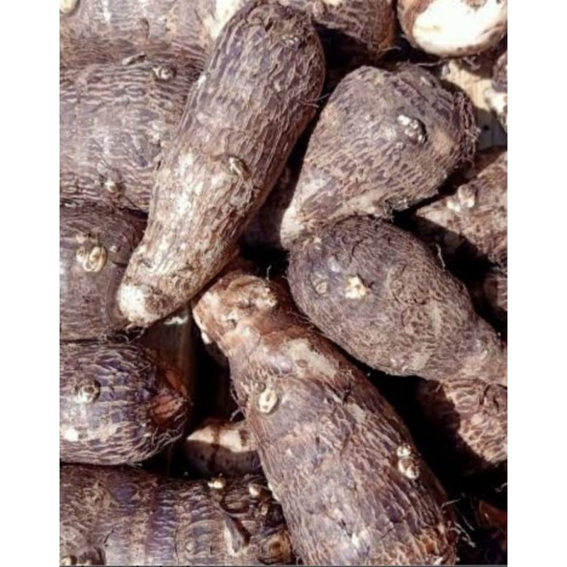 

ubi tales/entik pulen/kimpol bisa buat kripik makanan khas 1kg