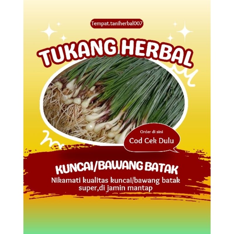 

kuncai sayur / bawang batak enak fress