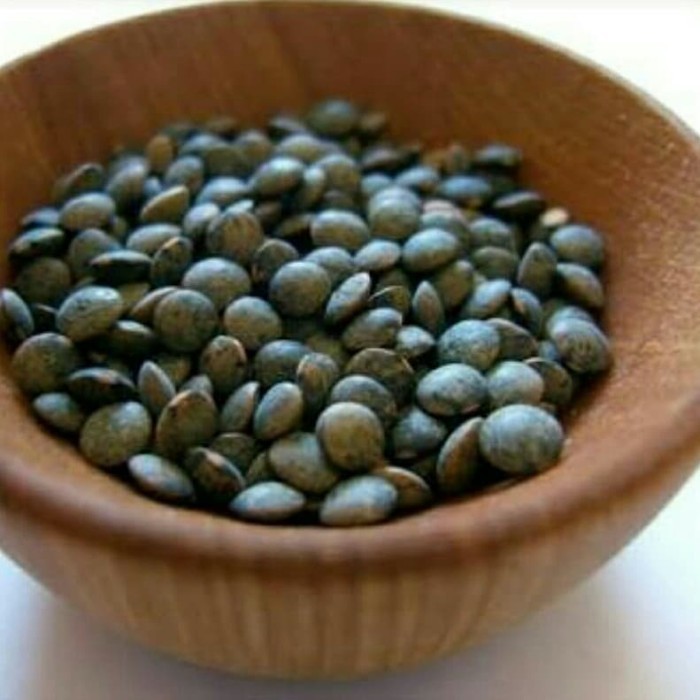 

Green Lentil (Puy) 500gram/ Lentil Hijau (Puy) 500gram