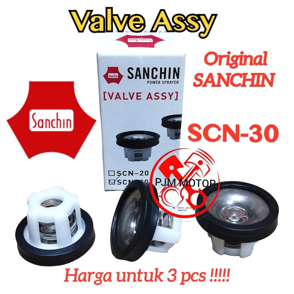 

SANCHIN SCN30 VALVE ASSY klep sprayer pompa steam stim doorsmeer MEREK SANCHIN ORIGINAL SC30 30CC (3BUAH) amplas
