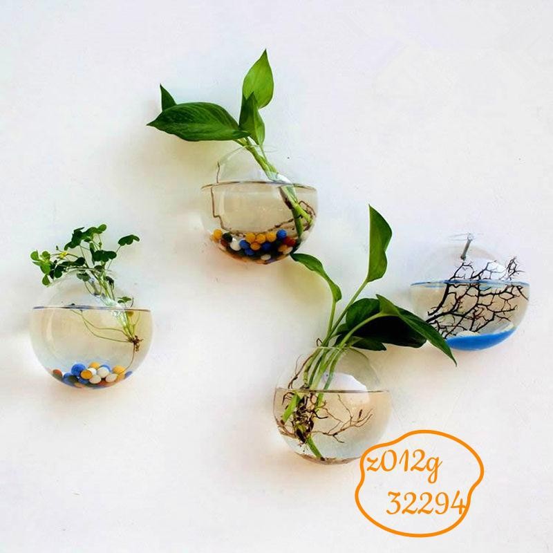 Pot Bunga Kaca Tempel Dinding Bentuk Bola Transparan Vas Gantung Dekorasi Rumah