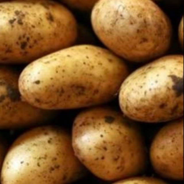 

PROMO Kentang Dieng Besar 1kg