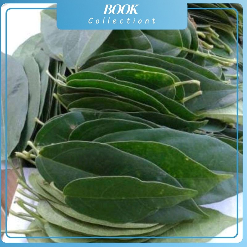 

daun cingcau segar 100gram membuat jelly sendiri lebih enak