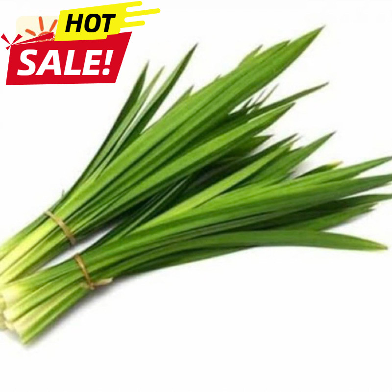 

UD BUAH 3 SAUDARA DAUN PANDAN WANGI FRESH