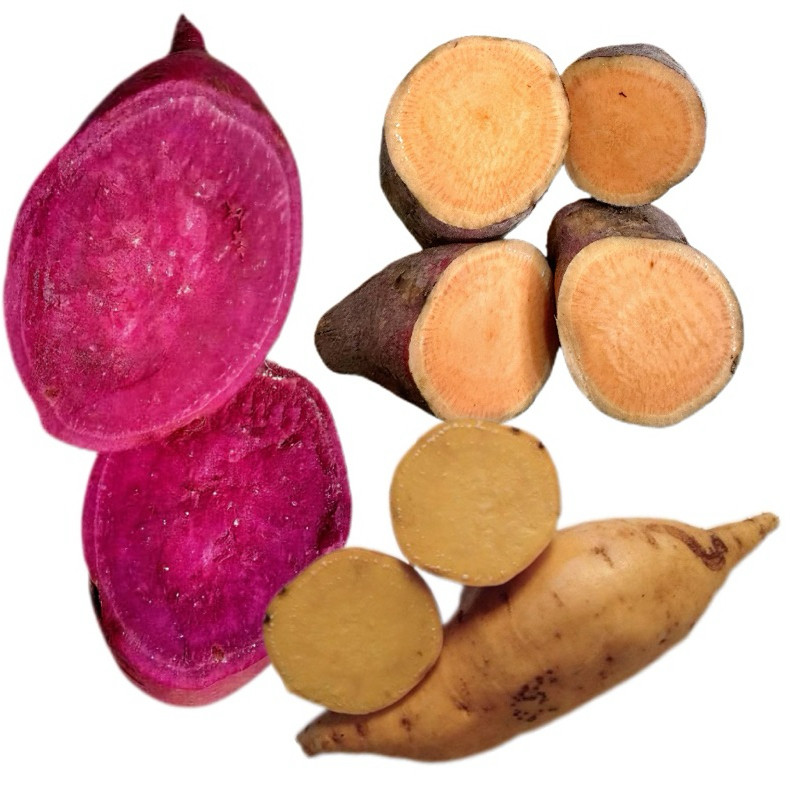 

TERMURAH aneka ubi berbagai jenis ubi jalar mix ( campur ) (ubi cilembu ubi ungu ubi oranye) berat 1 kg