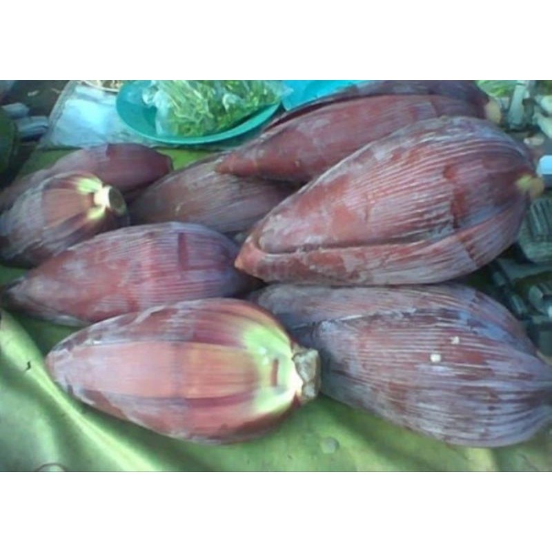 

Jantung pisang kepok-untuk d sayur fres