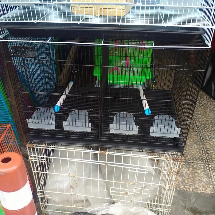 sangkar / kandang kotak besi sekat 60 x 40