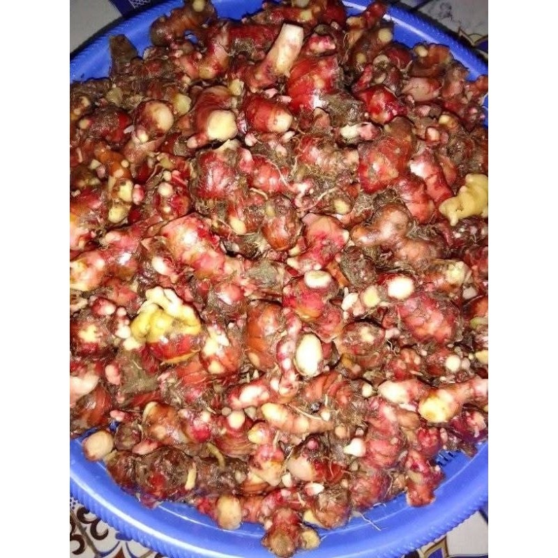 

jahe merah segar per 100gram