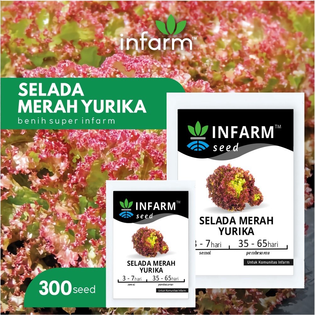 INFARM - Benih Super Selada Merah Yurika