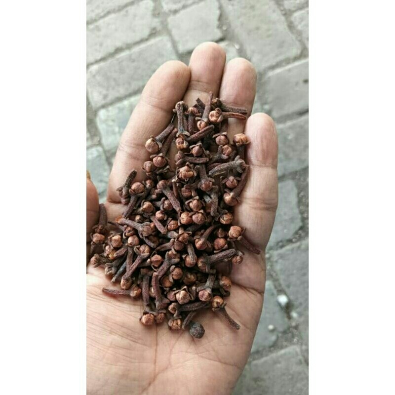 

cengkeh kering 250gram