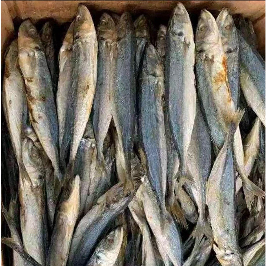 

TERLARIS ikan asin klotok gread A kualitas super