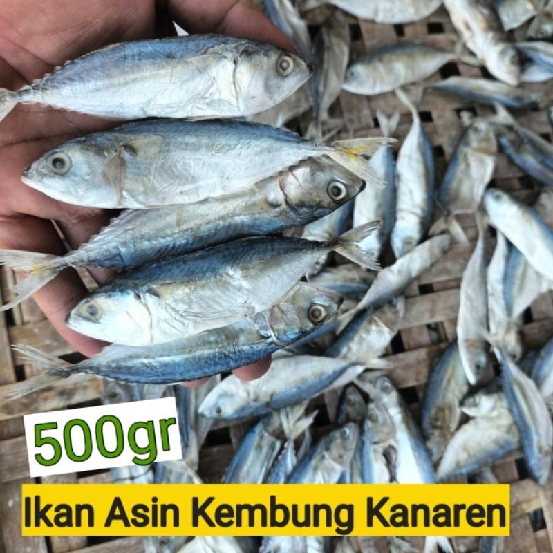 

PREMIUM 500gr Ikan Kembung Kanaren Asin Alami Tanpa Pengawet